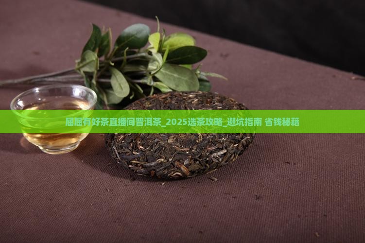 屈屈有好茶直播间普洱茶 屈屈有好茶直播间普洱茶