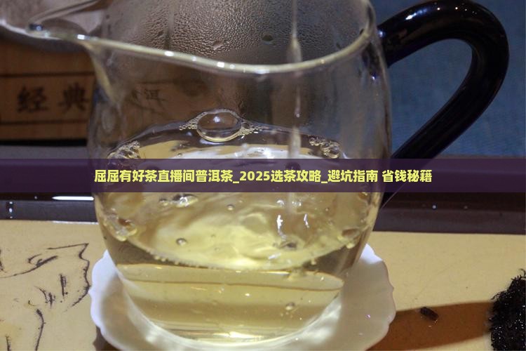 屈屈有好茶直播间普洱茶 屈屈有好茶直播间普洱茶