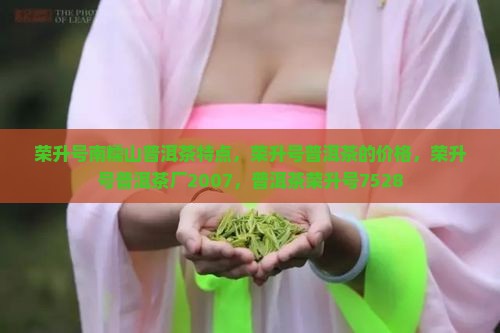 荣升号南糯山普洱茶特点 荣升号南糯山普洱茶特点