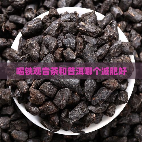 喝铁观音茶和普洱哪个减肥好