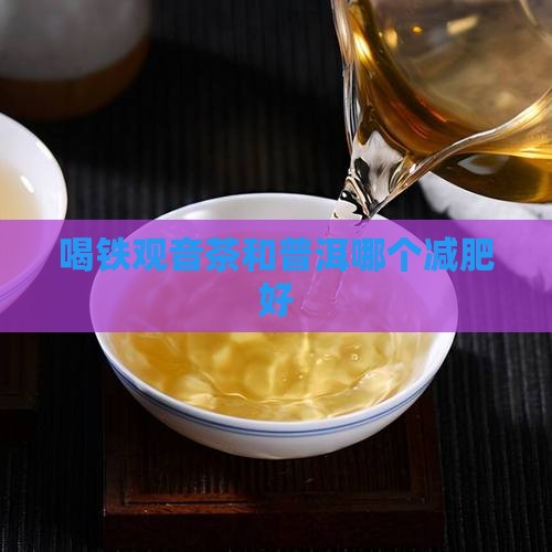喝铁观音茶和普洱哪个减肥好