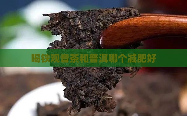喝铁观音茶和普洱哪个减肥好