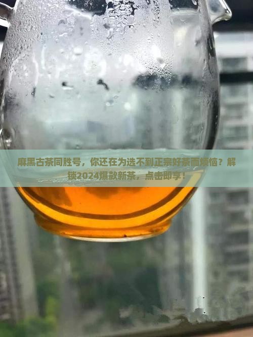 麻黑古茶同胜号