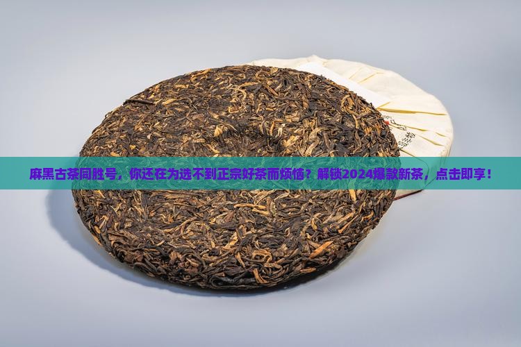 麻黑古茶同胜号