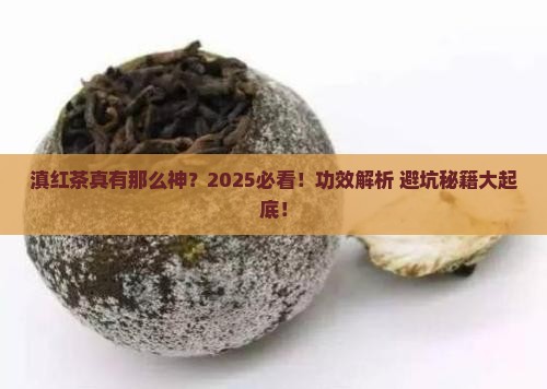 金螺滇红茶的功效与作用禁忌