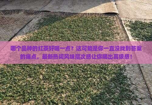 哪个品种的红茶好喝一点