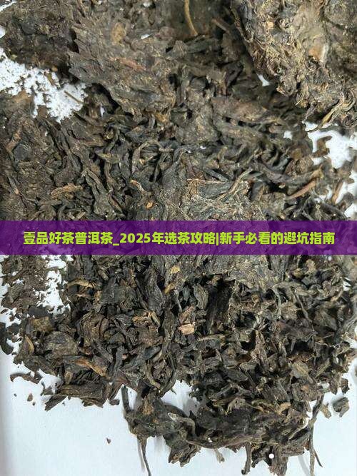 壹品好茶普洱茶