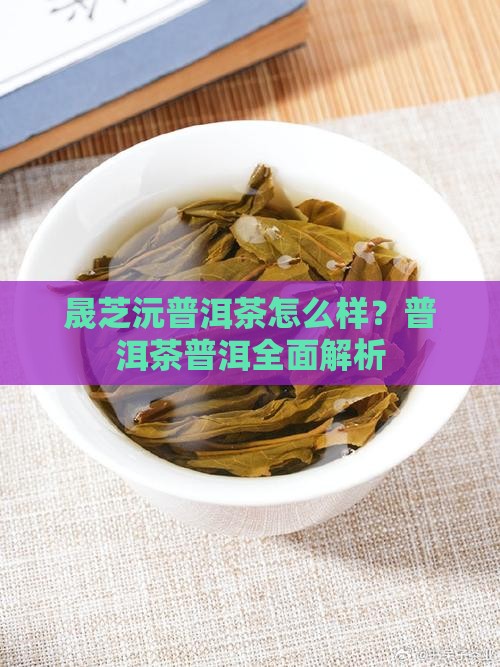 晟芝沅普洱茶好吗
