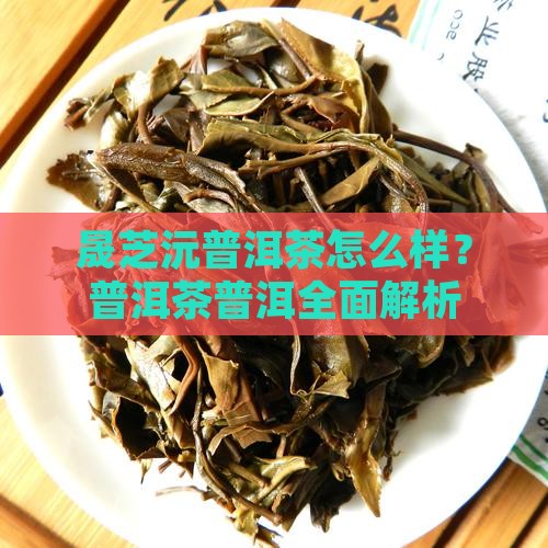 晟芝沅普洱茶好吗