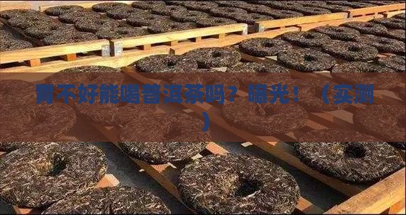 胃不好是否能喝普洱茶