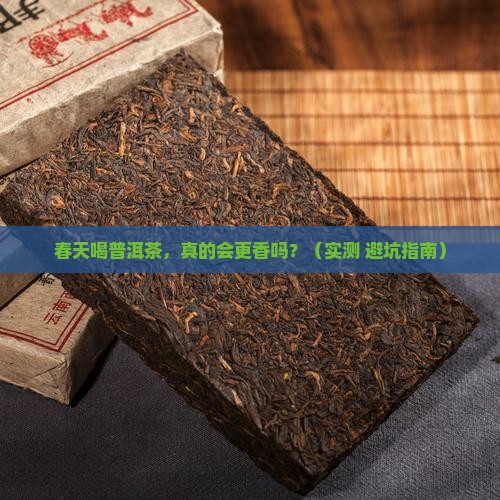 普洱茶什么季节喝