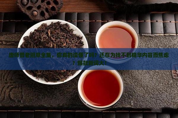 唐师曾老班章全集