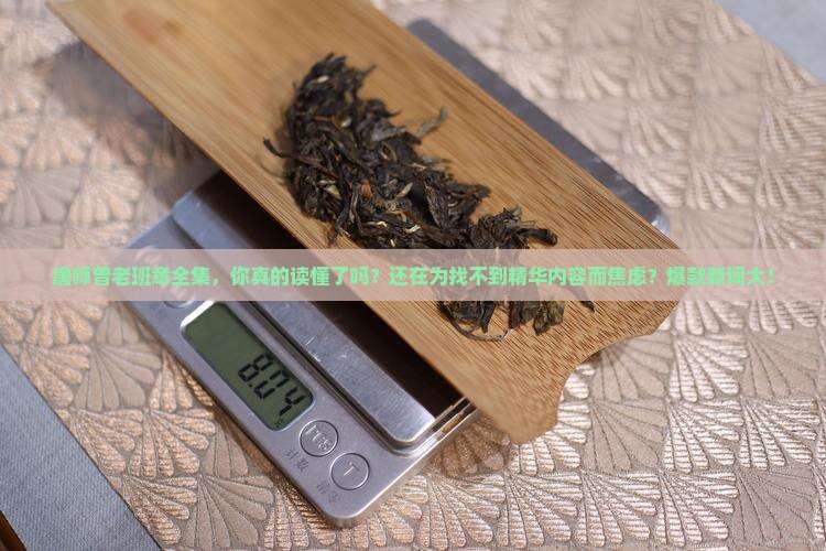 唐师曾老班章全集