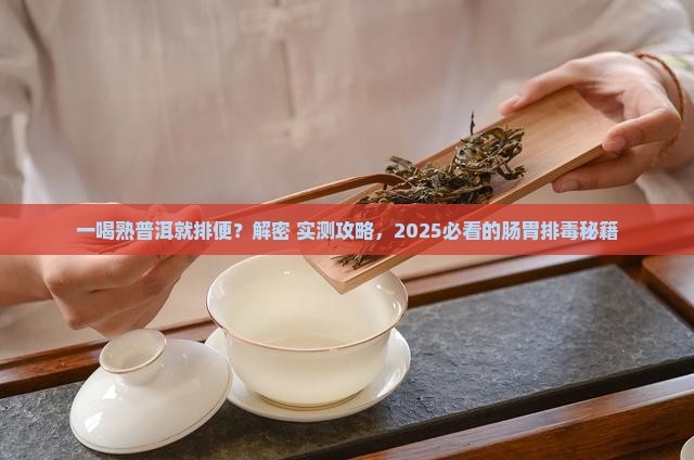 一喝熟普洱就排便