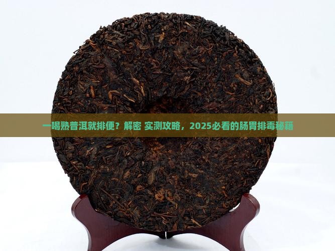 一喝熟普洱就排便