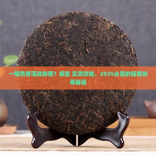 一喝熟普洱就排便
