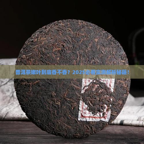 普洱茶是嫩叶好吗