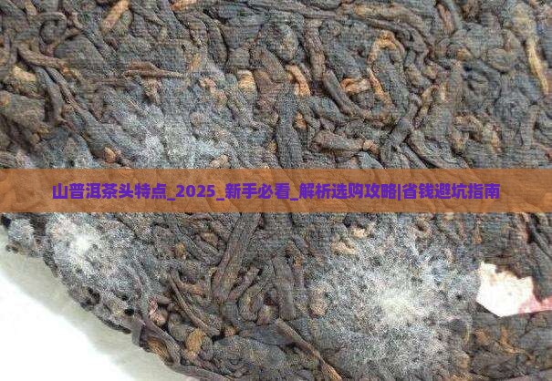 山普洱茶头特点