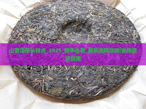 山普洱茶头特点