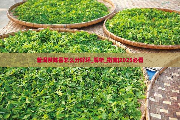 普洱茶陈香怎么分好坏