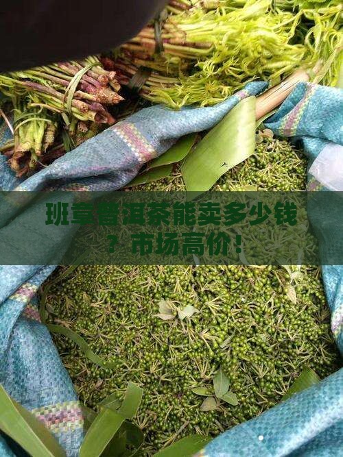 班章普洱茶能卖多少钱