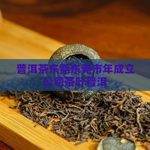 临沧普洱茶东莞