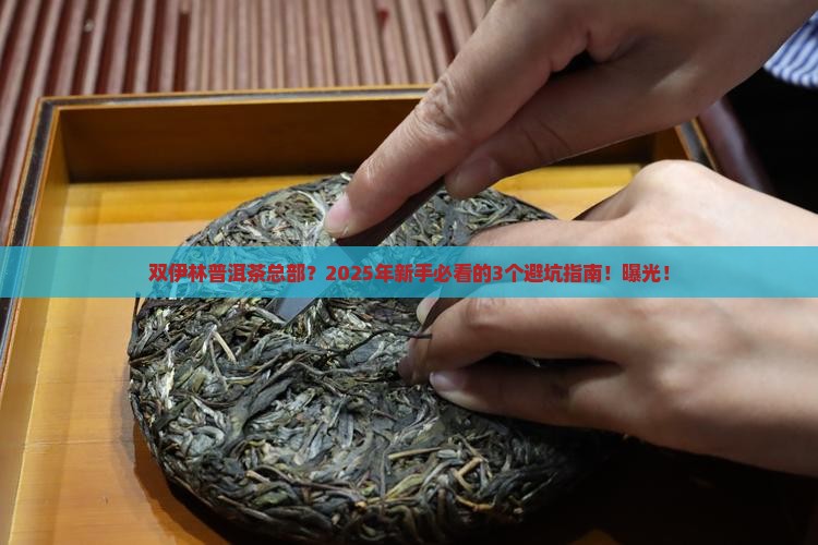 双伊林普洱茶总部