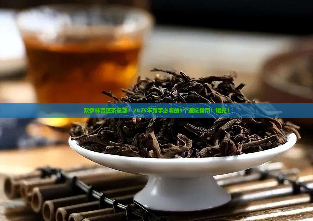 双伊林普洱茶总部