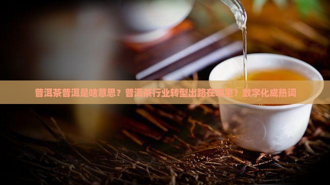 普洱茶普洱是啥意思