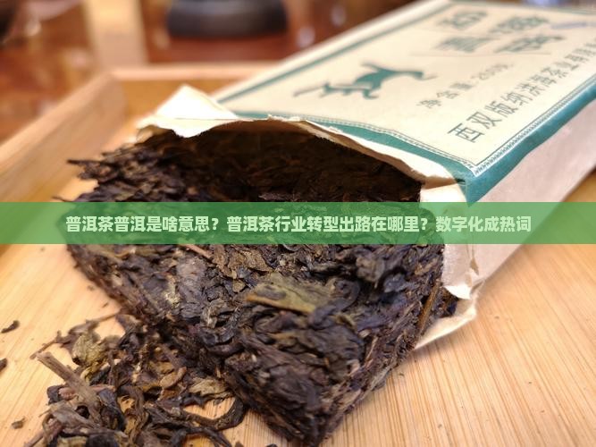 普洱茶普洱是啥意思