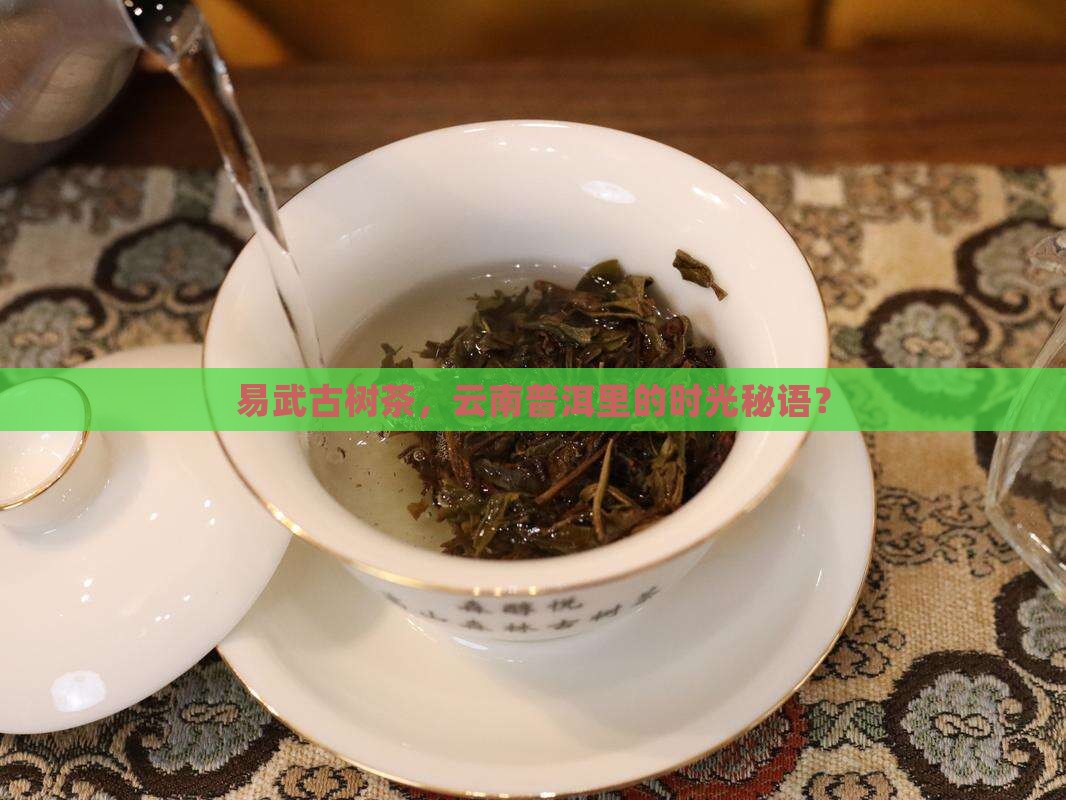 云南普洱茶易武古树茶
