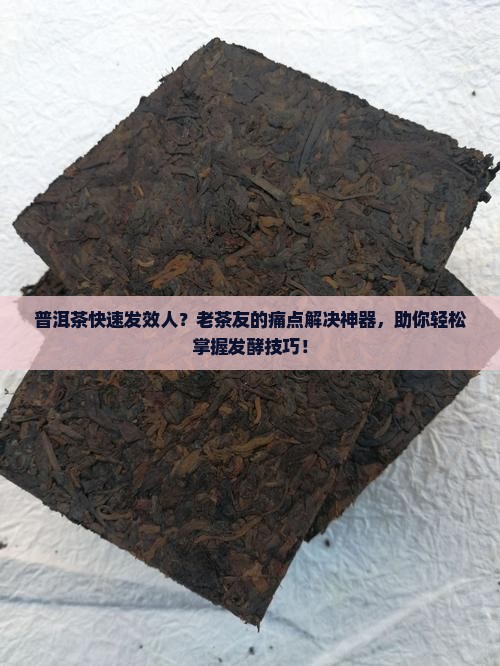 普洱茶快速发效人 普洱茶快速发效人