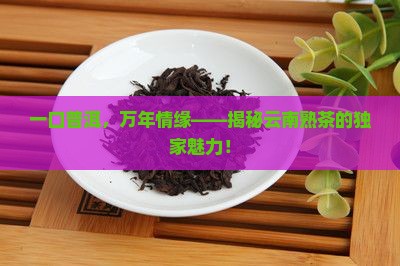 云南普洱茶熟茶臻印象