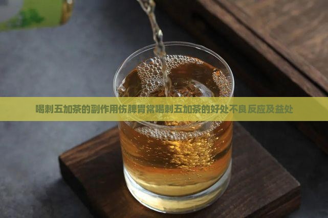 喝刺五加茶的副作用