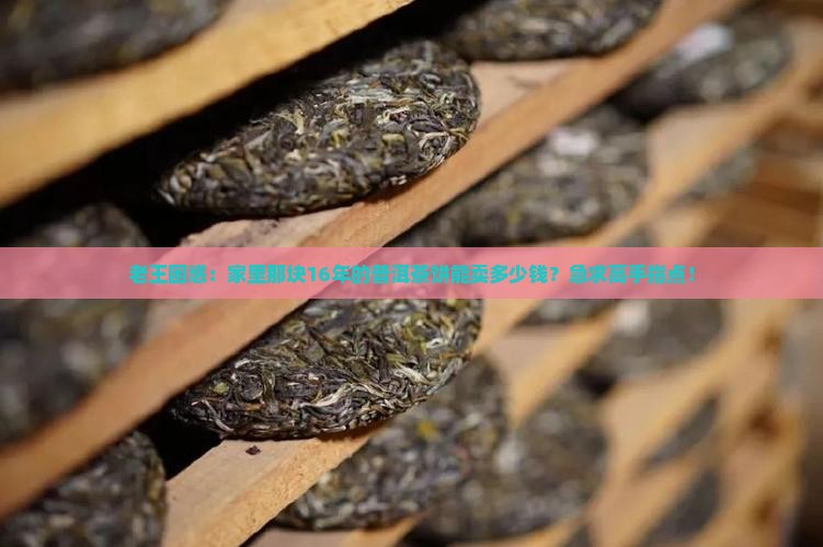十六年普洱茶饼价值