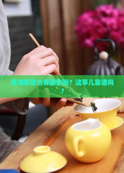 普洱茶中有没有茶多酚