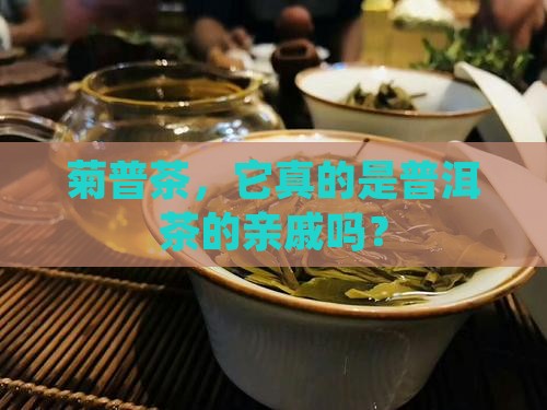 菊普是普洱茶吗