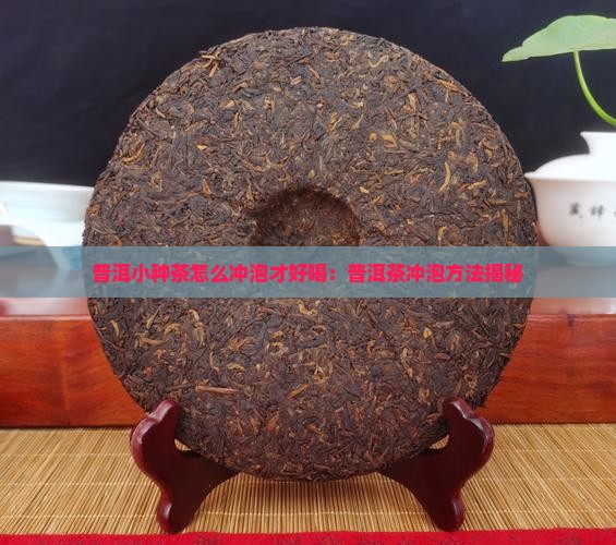 小种普洱茶怎么泡好喝