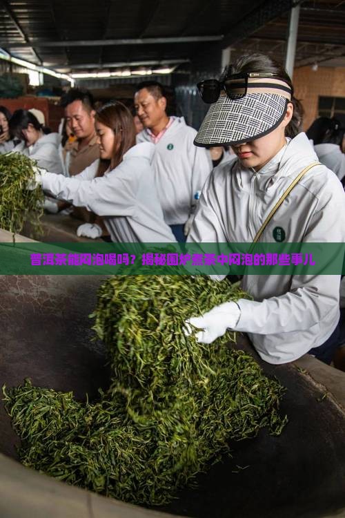 普洱茶能闷泡喝吗