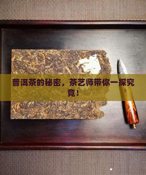 茶艺师普洱茶解说