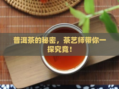 茶艺师普洱茶解说