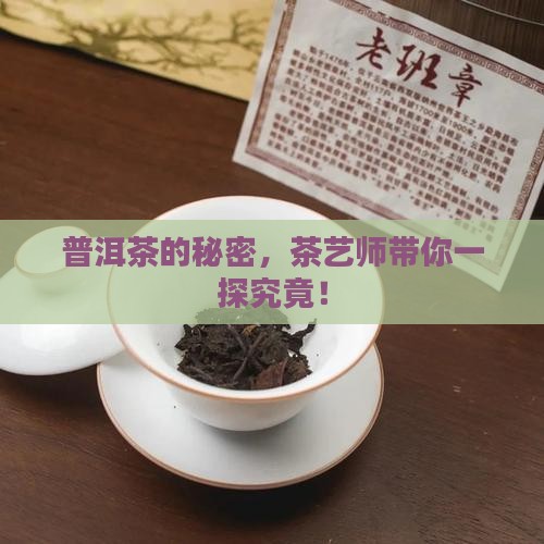 茶艺师普洱茶解说