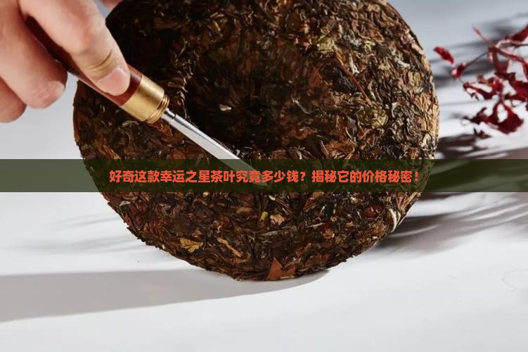 幸运之星茶叶多少钱