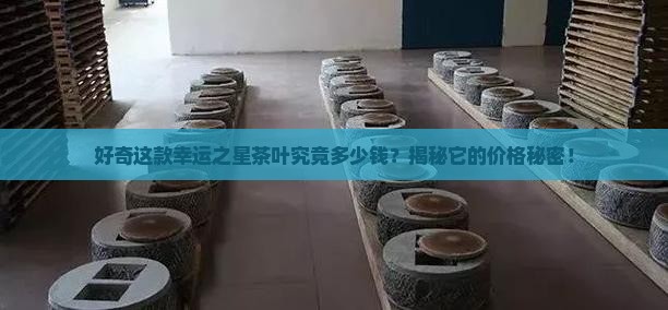 幸运之星茶叶多少钱