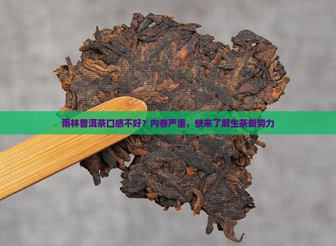 雨林普洱茶怎样