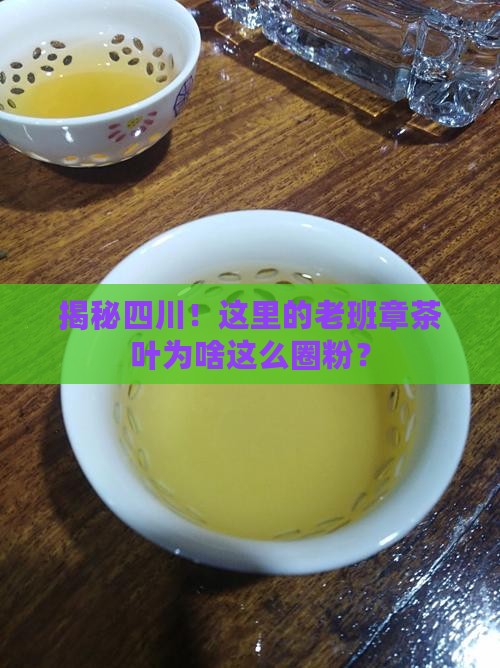 四川老班章茶叶