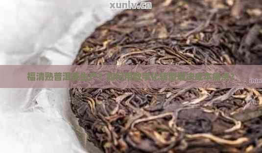 福清熟普洱茶生产