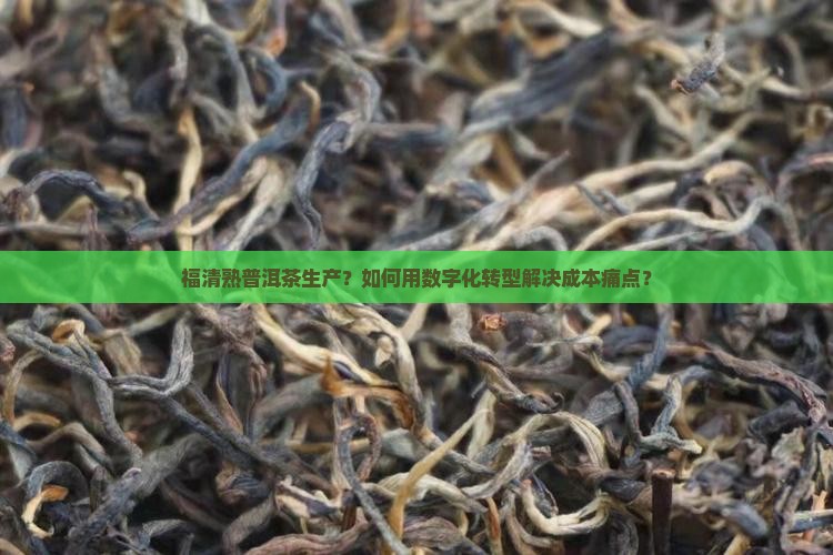 福清熟普洱茶生产