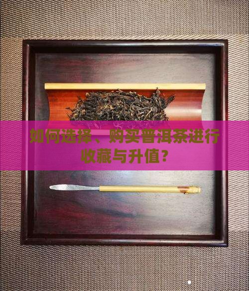普洱茶选择购买藏和升值