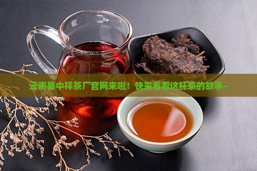 云南易中祥茶厂官网
